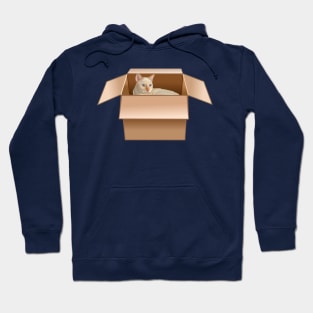 Flame Point Siamese Cat Loves Box Hoodie